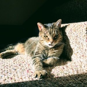 Meet your Posher, Doug